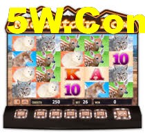 Multi-Sport Coverage